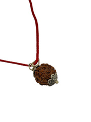 RUDRADIVINE 4 Mukhi Nepali Rudraksha with Silver Plated Pendant – Original Bead for Wisdom, Knowledge & Communication