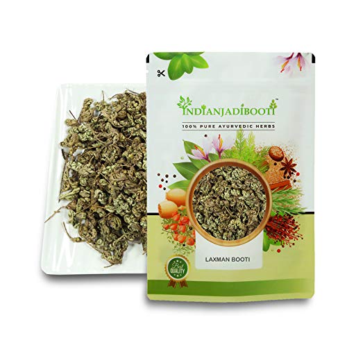 IndianJadiBooti Laxman Booti (Lakshmana) - Gubha/Sanjeevani - Rare Himalayan Herb for Reproductive Health & Vitality - Traditional Fertility Support - Raw & Dried - 250g
