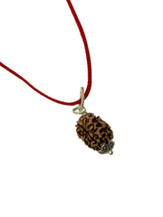 RUDRADIVINE 3 Mukhi Rudraksha Bead With Silver Plated Pendent Use For Both Male And Female