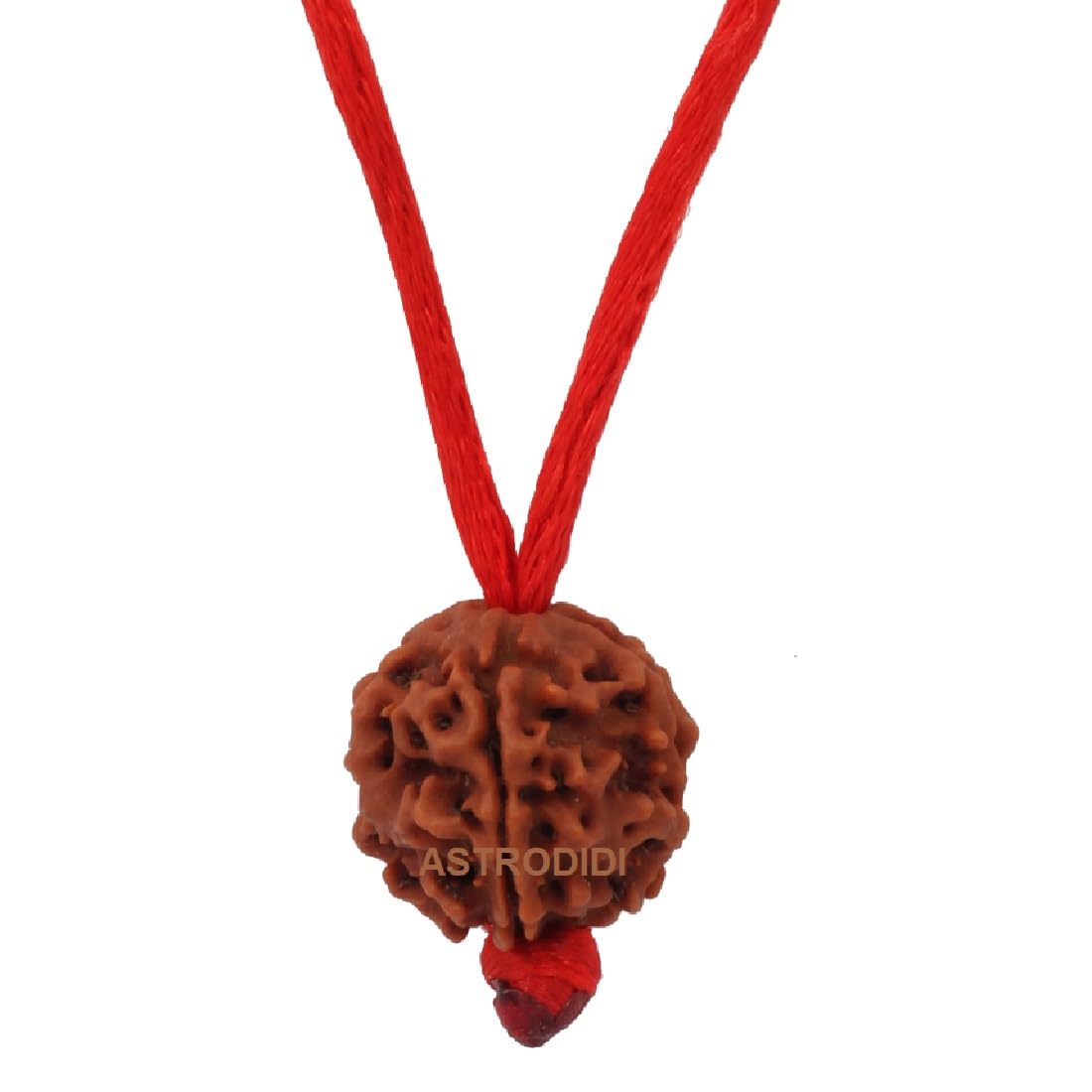 ASTRODIDI Original 5 Mukhi Rudraksha Bead with Red Thread for Daily Wearing | Natural Nepali Five Face Rudraksh Bead | Unisex Design for Men Women Boys and Girls