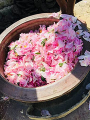 Nawab's Secret Natural Rose Water, 200 ml (Pk of 2)-400ml-Food Grade & Edible,Skin Toner & Revitaliser-Made by Hydro Distillation of Premium Rose Through Traditional Deg-Bhapka Technique of Kannauj