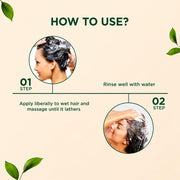 Biotique Fresh Henna Color Protect Shampoo & Conditioner | Gentle Care for Color-Treated Hair | Helps Maintain Hair Color, Strengthen & Nourish Hair | Henna & Botanical Extracts | 180ml