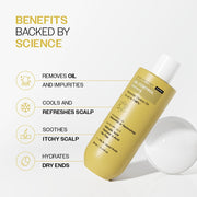 Bare Anatomy Oil Control Shampoo | Sulphate & Paraben Free | Reduces Excess Oil by Up to 100% | Salicylic Acid + Hyaluronic Acid + Tea Tree | Suitable for Oily Scalp & Dry Ends | For Women & Men | 236ml