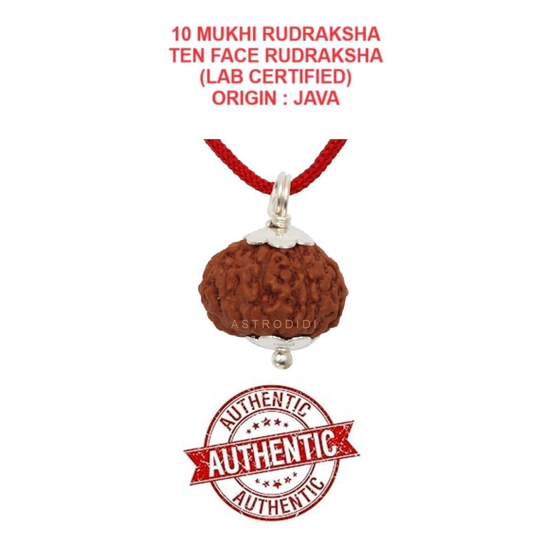 ASTRODIDI 10 Mukhi Rudraksha Original Certified Java (15-16 mm) Ten Face Small Size Silver Coated Pendant with Lab Report | Astrological Benefits | Unisex Design for Men & Women