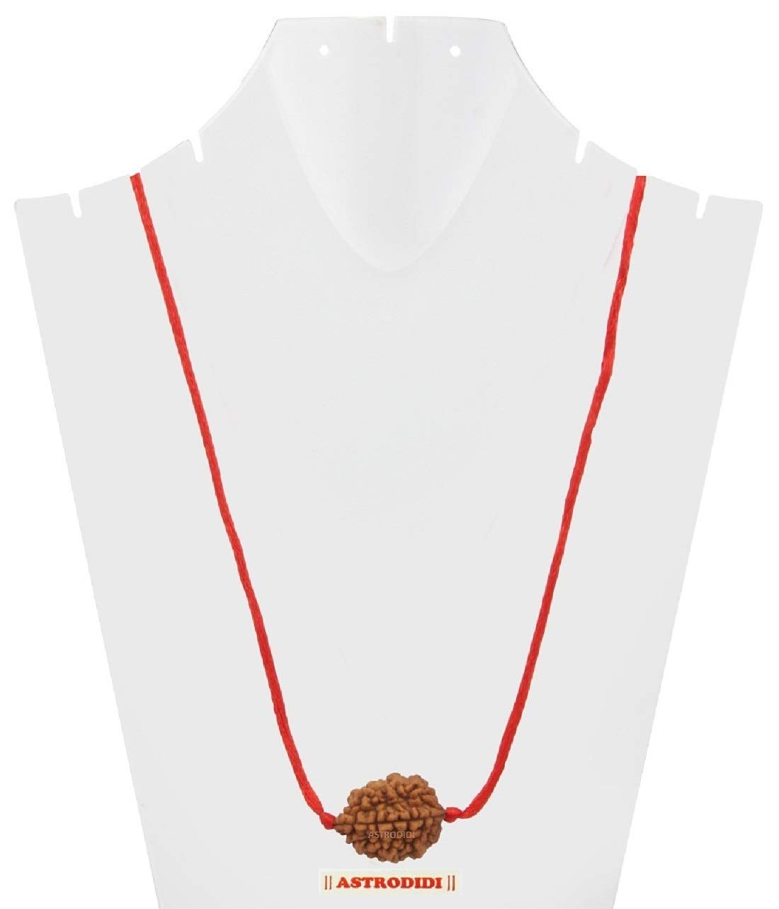 ASTRODIDI Original and Certified 2 Mukhi Rudraksha Bead with Red Thread for Daily Wearing for Men Women Boys and Girls | Natural Two Face Rudraksh Bead | Unisex Design