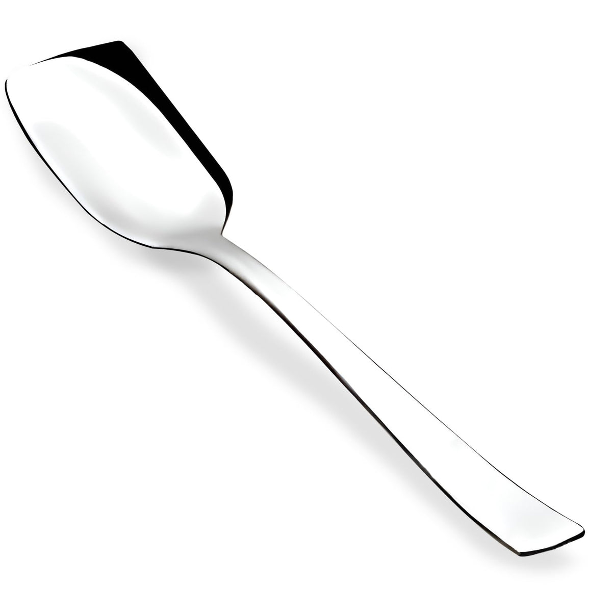 Parage Stainless Steel Set of 12 Ice Cream Spoons, Silverware Spoon Set, Dinner Spoon Length 13.5cm, Food Grade Silverware for Home & Kitchen, Durable Stylish, 12 Silver Spoons