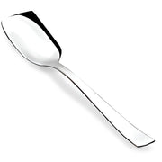 Parage Stainless Steel Set of 12 Ice Cream Spoons, Silverware Spoon Set, Dinner Spoon Length 13.5cm, Food Grade Silverware for Home & Kitchen, Durable Stylish, 12 Silver Spoons