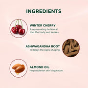 Biotique Winter Cherry Rejuvenating Body Lotion | Moisturizes and Hydrates the Skin | Prevents Ageing, Wrinkles and Dark Spots| 100% Botanical Extracts| Suitable for All Skin Types | 300ml