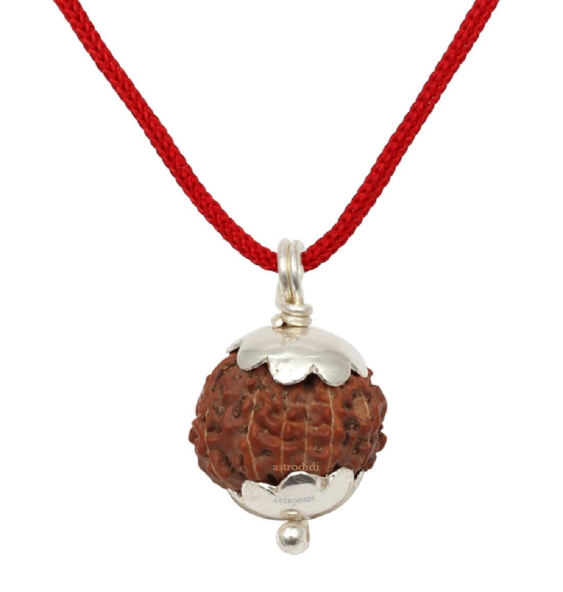 ASTRODIDI 10 Face Rudraksha Brown
