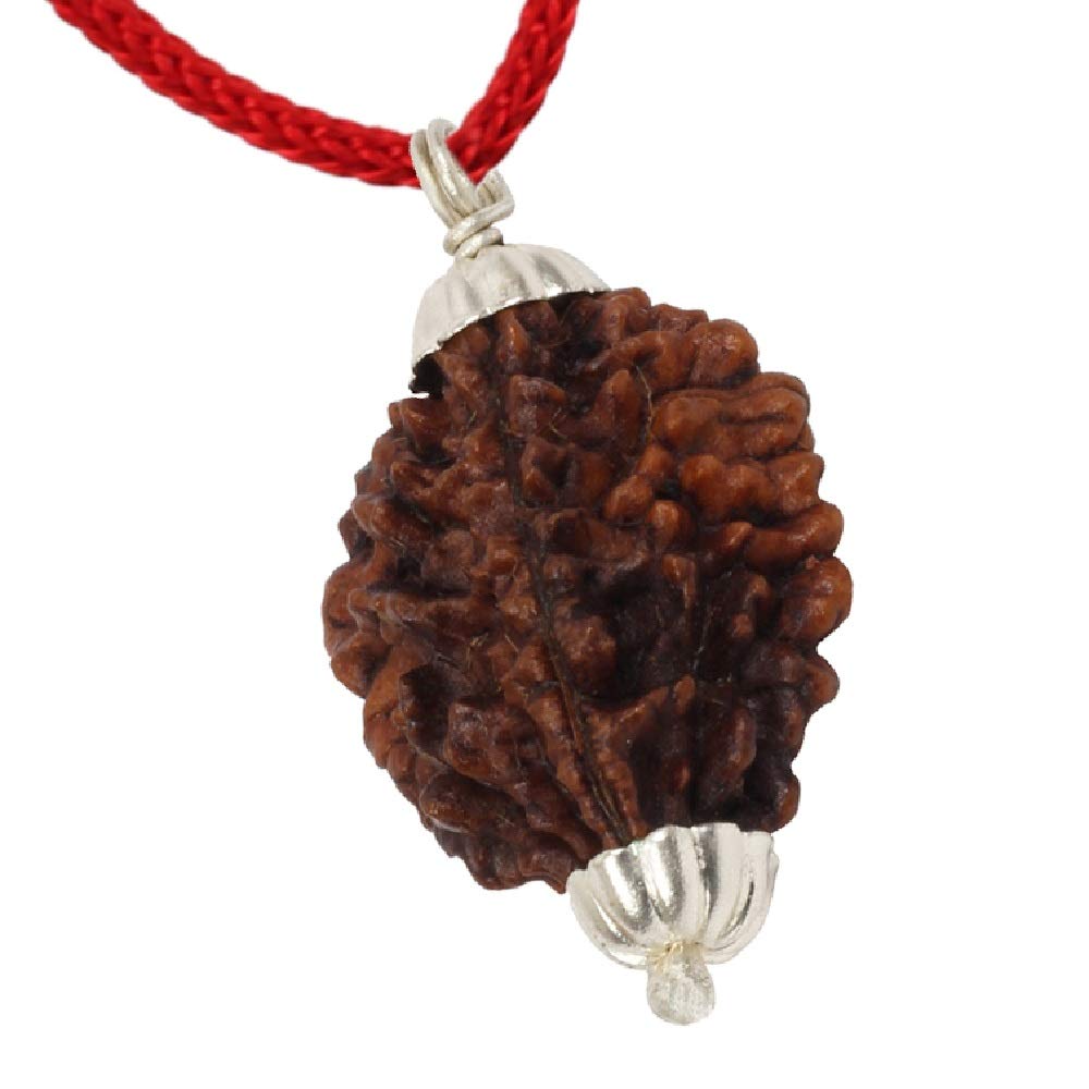 ASTRODIDI 2 Mukhi Ruraksha Two Face Pendant Mantra Siddha and Certified