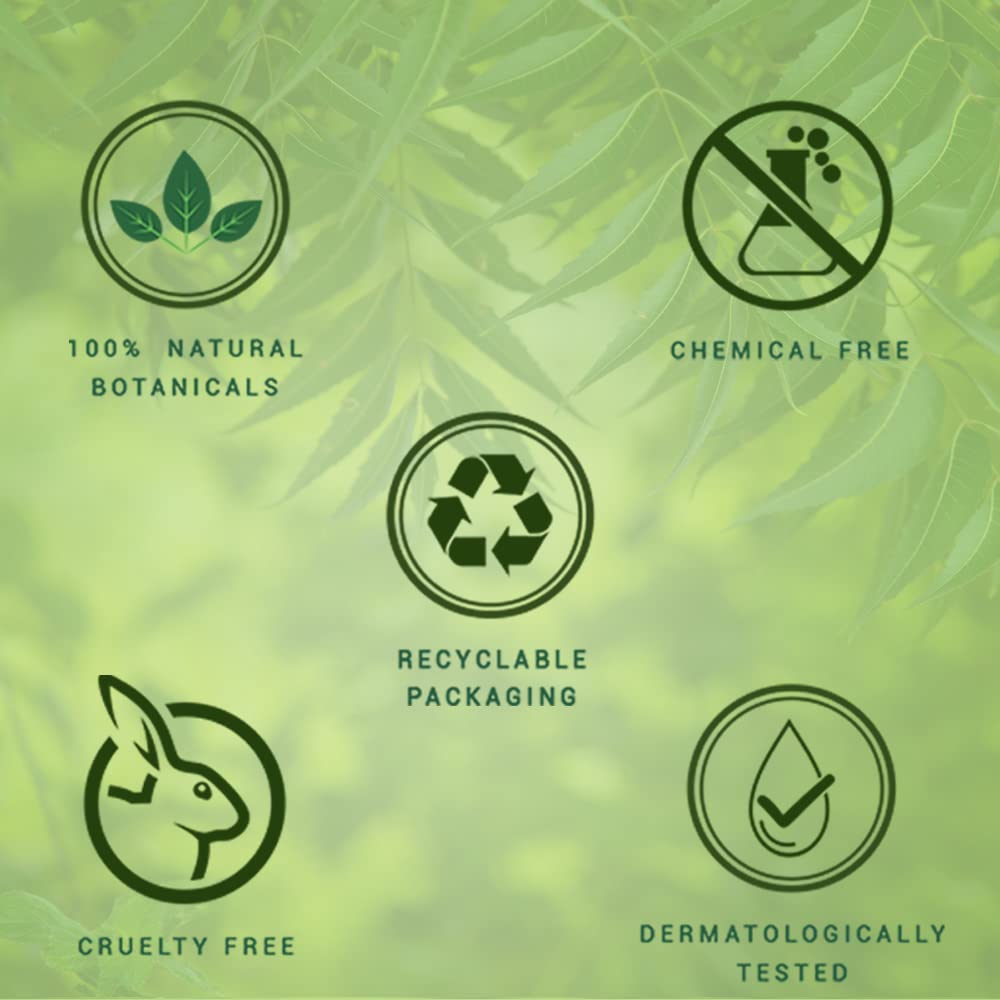 Biotique Fresh Neem Anti Dandruff Shampoo and Conditioner | Controls Dandruff | Eliminates Dryness, Flaking, and Itching | Hair Looks Fresh and Lustrous |Suitable for All Skin Types | 650ml