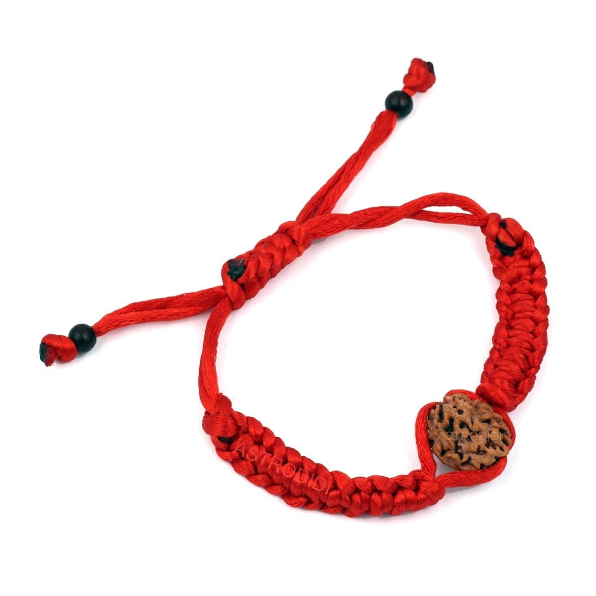 ASTRODIDI 3 Mukhi Rudraksha Beads Bracelet in Red Thread for Daily Wearing | Handmade Original Three Face Rudraksh Bracelet | Unisex Design for Men Women Boys and Girls