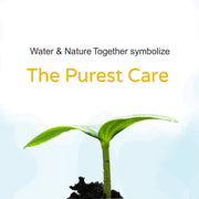 Mother Sparsh Cotton Scented Water Plant Fabric, Biodegradable Wipe (Blue, 15 Wipes)