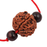 Astrodidi 7 Mukhi Rudraksha | Certified Nepali Seven Face Rudraksh with Two Red Chandan Beads in Red Thread with Lab Certificate (Colour: Brown, Shape: Round)