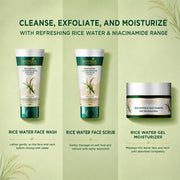 Biotique Rice Water & Niacinamide Gel Face Wash Removes Excess Oils & Reduce Blemishes of the Skin | Glass Skin | For Men & Women - 100ml