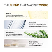 Bare Anatomy Expert Anti-Hair Fall Shampoo (100ml) & Advanced Hair Growth Serum (30ml) | Adenosine + Redensyl + Rice Water + Rosemary| Hair Growth & Hair Fall Control Combo for Women & Men