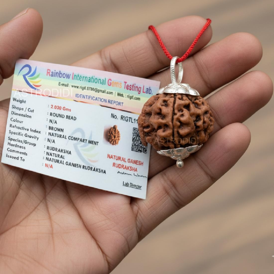 ASTRODIDI Ganesh Rudraksha Original Certified Silver Plated Pendant | Natural Nepali Ganesh Ji Rudraksh Bead | Astrological Benefits | Unisex Design for Men & Women (Color: Brown)