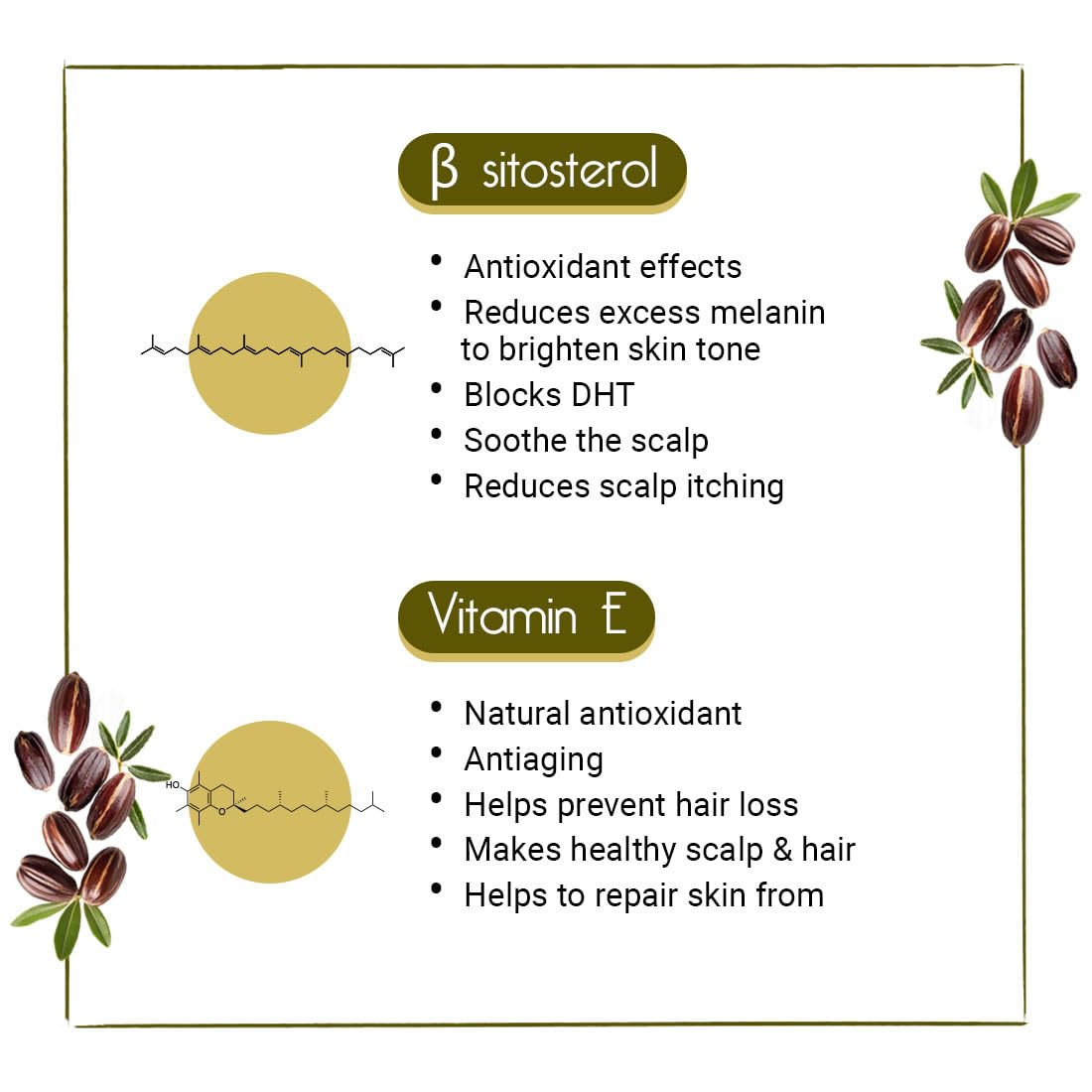 KEYA SETH AROMATHERAPY Jojoba Oil for Face, Body & Hair – Moisturizing, Anti-Aging, Sunburn Care, Hair Growth with Flavonoids, Vitamin A & E 100ml