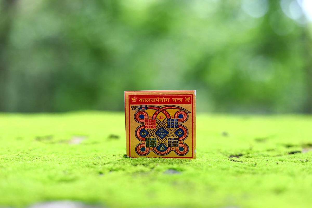 RUDRADIVINE Kalsarp Yog Yantra