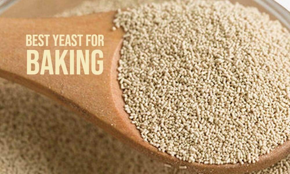 NatureVit Instant & Active Dry Yeast Powder, 100g | Nutritional Yeast Powder For Baking | Active & Instant Yeast For Bread Making At Home | Instant Dry Yeast For Baking, Bread, Cake, Pizza & Wines