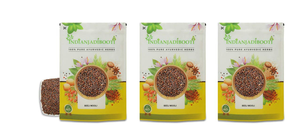 IndianJadiBooti Raw Mooli (Radish) Seeds | Raphanus sativus | 3 Packs of 900 Grams