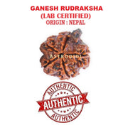ASTRODIDI Ganesh Rudraksha Original Certified Silver Plated Pendant | Natural Nepali Ganesh Ji Rudraksh Bead | Astrological Benefits | Unisex Design for Men & Women (Color: Brown)