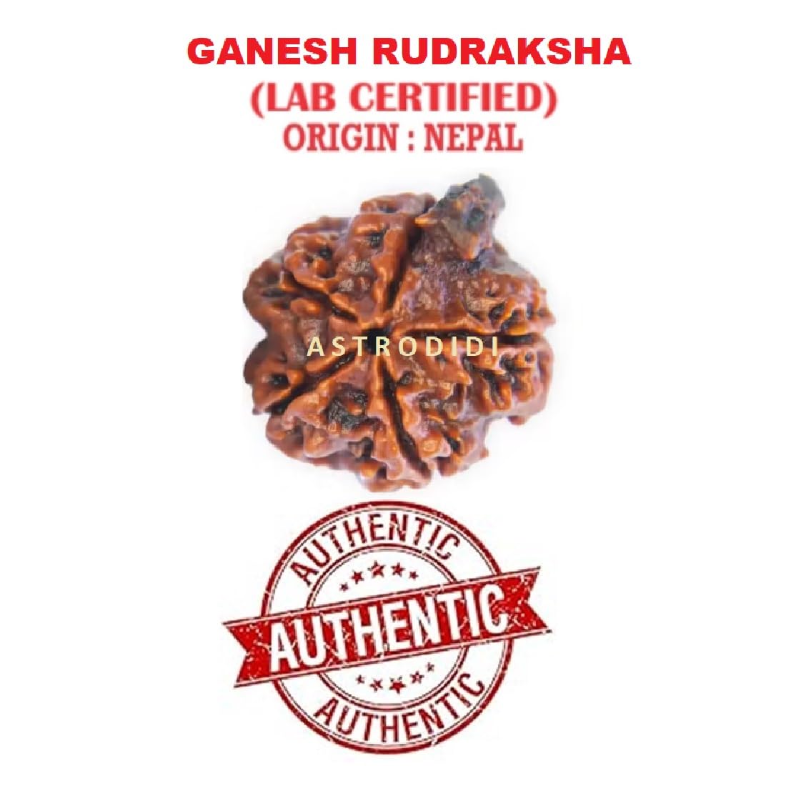 ASTRODIDI Ganesh Rudraksha Original Certified Silver Plated Pendant | Natural Nepali Ganesh Ji Rudraksh Bead | Astrological Benefits | Unisex Design for Men & Women (Color: Brown)