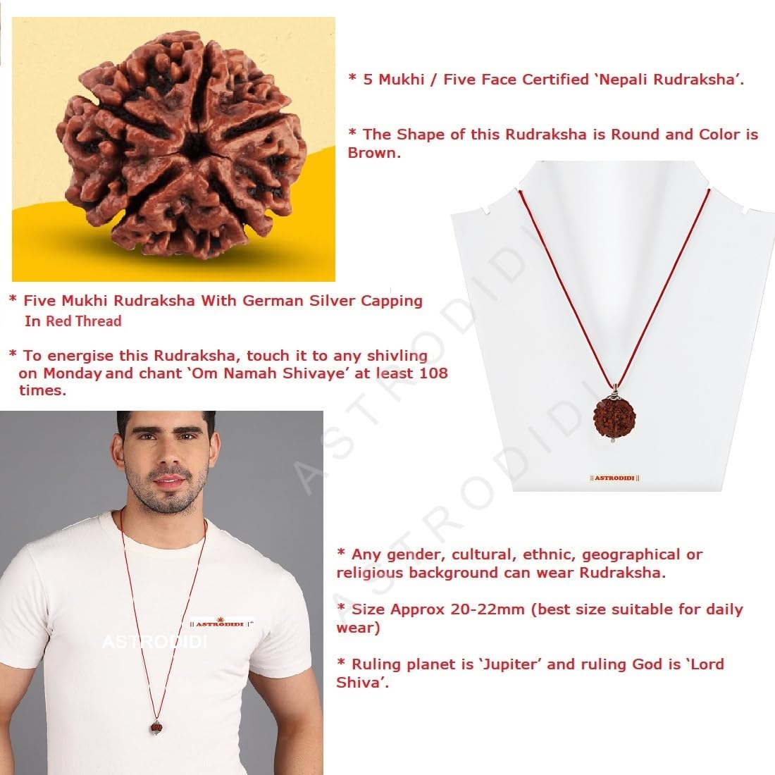 ASTRODIDI 5 Mukhi Rudraksha Pendant Lab Certified Nepali Five Mukhi Original Certified Rudraksha Pendant Origin Nepal, Color Brown | Astrological Benefits | Unisex Design for Men & Women