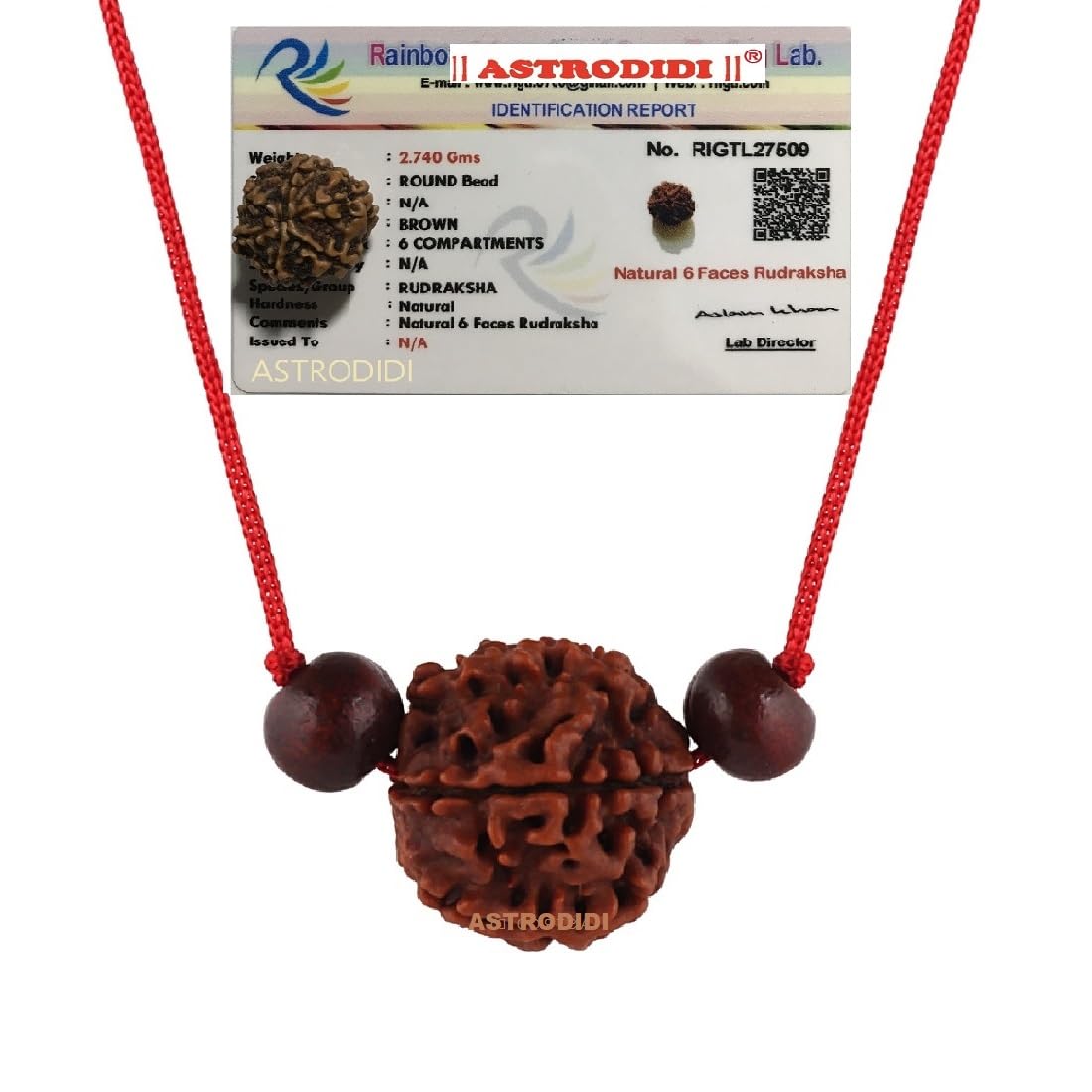 Astrodidi 6 Mukhi Rudraksha | Certified Nepali Six Face Rudraksh with Two Red Chandan Beads in Red Thread with Lab Certificate (Colour: Brown, Shape: Round)