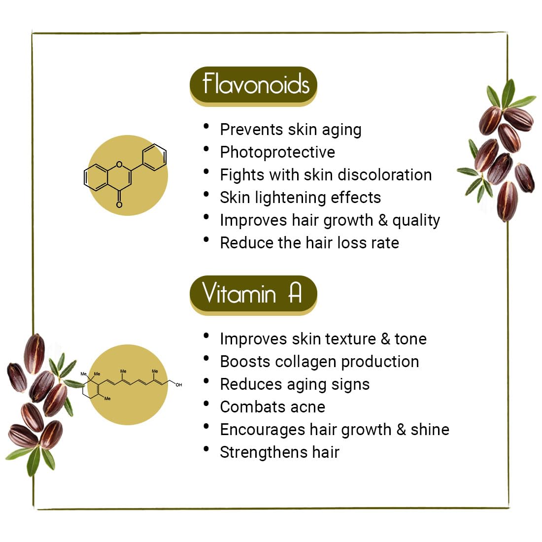 KEYA SETH AROMATHERAPY Jojoba Oil for Face, Body & Hair – Moisturizing, Anti-Aging, Sunburn Care, Hair Growth with Flavonoids, Vitamin A & E 100ml