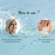 Biotique Fresh Neem Pimple Control Face Wash| Ayurvedic and Organically Pure| Prevents Pimples |100% Botanical Extracts| Suitable for All Skin Types | 200mL (Pack of 4)