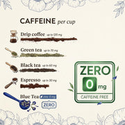 BLUE TEA - Butterfly Pea Flower Tea - 60 Tea Bags - Plant Based | ANTIOXIDANT RICH | Aparajita - Shankhpushpi | Caffeine Free - Detox Tea - Flower Based - Herbal Tea | Zipper