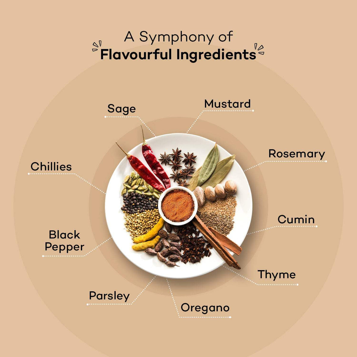 Urban Platter Cajun Spice Seasoning, 80g (Bold Blend of French, African and Southern American Flavours | Spicy and Aromatic | Great for Fries, Grills and Stir-Fries)