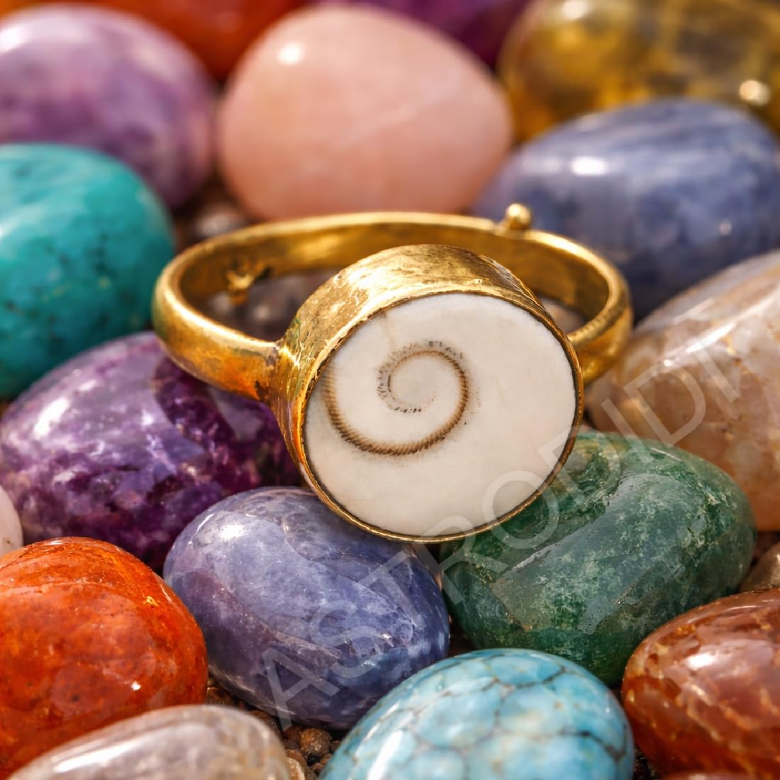 ASTRODIDI Gomti Chakra Ring Natural Gomati Chakram Stone Adjustable Ring | Astrological Gemstone | Unisex Both for Men & Women