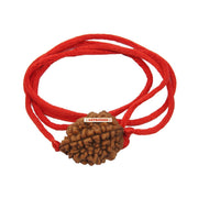 ASTRODIDI Original and Certified 2 Mukhi Rudraksha Bead with Red Thread for Daily Wearing for Men Women Boys and Girls | Natural Two Face Rudraksh Bead | Unisex Design