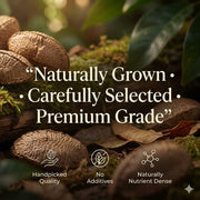 NatureVit Brazil Nuts 100g | Premium Whole Nuts | Rich in Selenium, Healthy Fats & Antioxidants | Keto-Friendly Superfood Snack