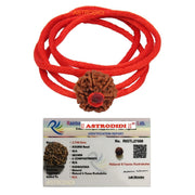 Astrodidi 6 Mukhi Rudraksha Nepali Bead with Red Thread for All time Wearing | Original Certified and Natural Six Face Nepali Rudraksh for Men Women Boys and Girls
