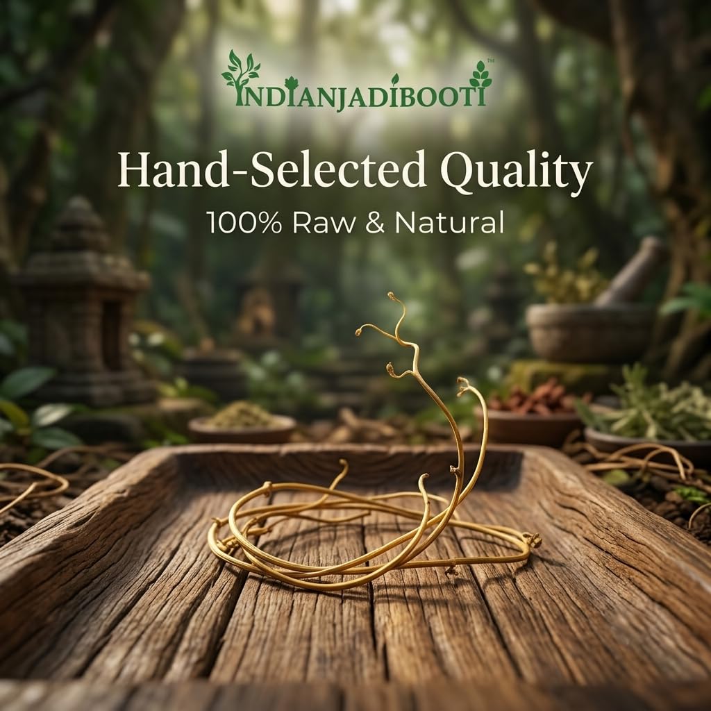 IndianJadiBooti Pure Amar Bel (Cuscuta Reflexa) | Raw Akash Bel Golden Vine for Hair Vitality, Scalp Nourishment & Systemic Detox