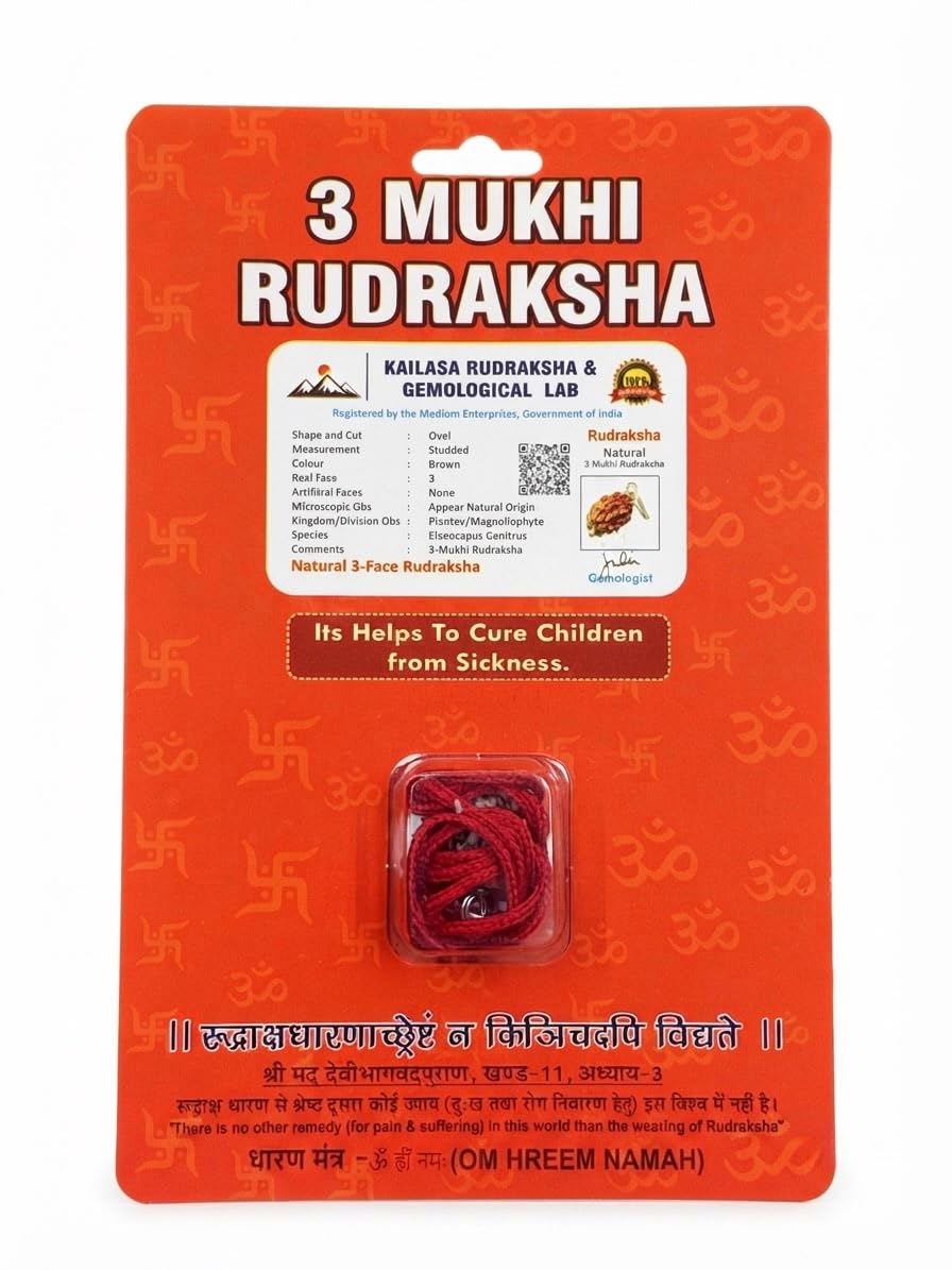 RUDRADIVINE 3 Mukhi Rudraksha with Silver Plated Cap
