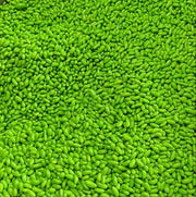 NatureVit Sugar Coated Green Saunf 400 Gram | Refreshing After-Meal Mouth Freshener | Traditional Mukhwas with Sweet Fennel Seeds | Ideal for Digestion & Fresh Breath