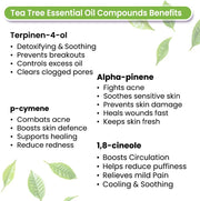 KEYA SETH AROMATHERAPY Tea Tree Body Oil - Moisturising, Anti Acne, Cleansing, Soothing & Purifies Skin; Non-Sticky, Quick-Absorbing 400ml