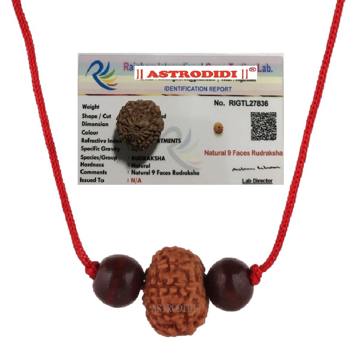 Astrodidi 9 Mukhi Rudraksha | Certified Java Nine Face Small Size Rudraksh with Two Red Chandan Beads in Red Thread with Lab Certificate (Colour: Brown, Shape: Round)