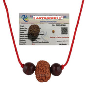Astrodidi 9 Mukhi Rudraksha | Certified Java Nine Face Small Size Rudraksh with Two Red Chandan Beads in Red Thread with Lab Certificate (Colour: Brown, Shape: Round)