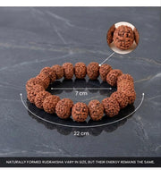 RUDRADIVINE 7 Mukhi Rudraksha Bracelet, Brown Round Bead