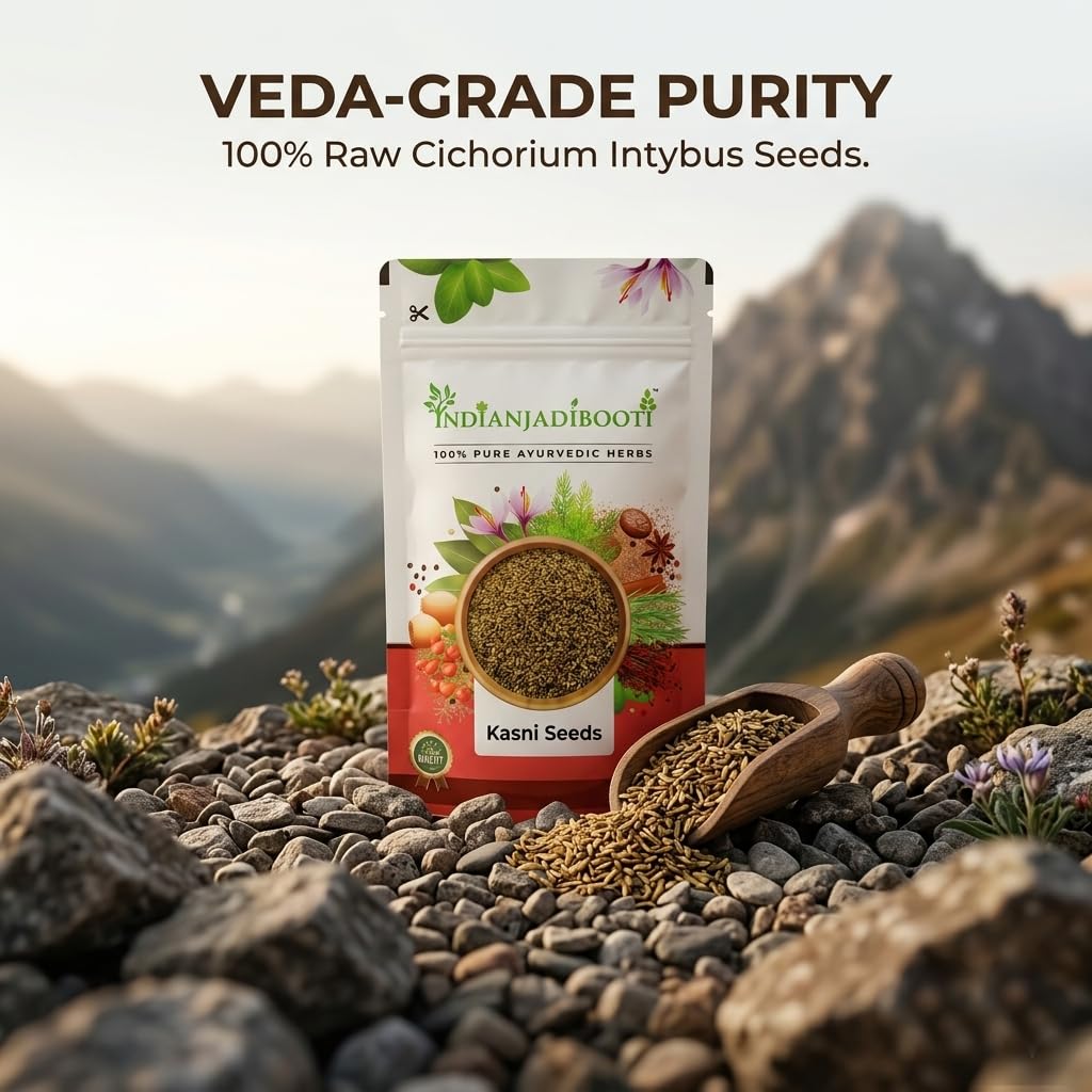 IndianJadiBooti Pure Kasni Seeds (Cichorium Intybus) | Botanical for Systemic Cleansing, Digestive Harmony & Pitta Balance | 2 Pack of 900 Grams