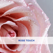 NIVEA Soft Rose Shine 4.8g Lip Balm|24 H Melt in Moisture Formula|Natural Oils|Glossy Finish,4.8 g (Pack of 1)