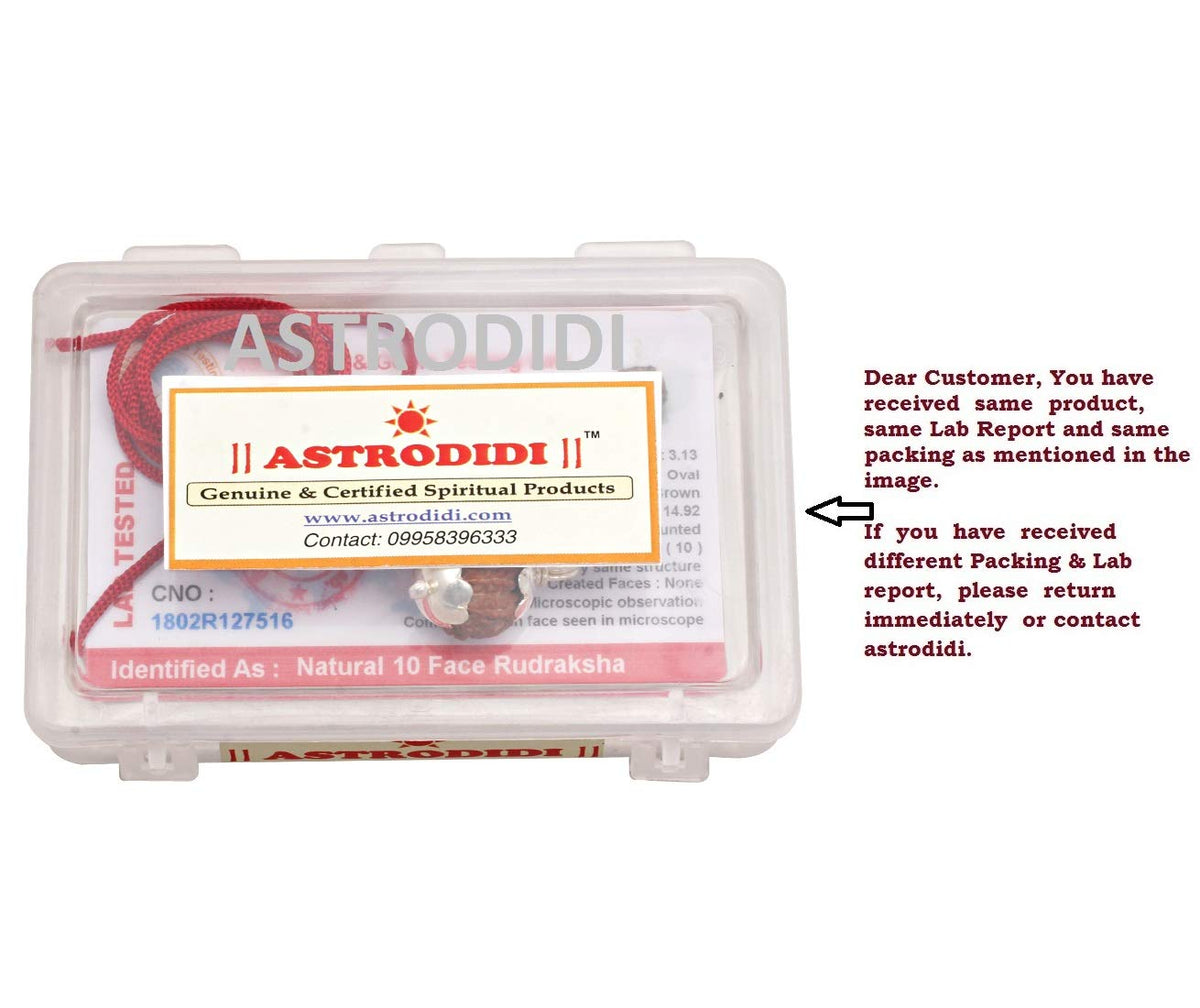 ASTRODIDI 10 Face Rudraksha Brown