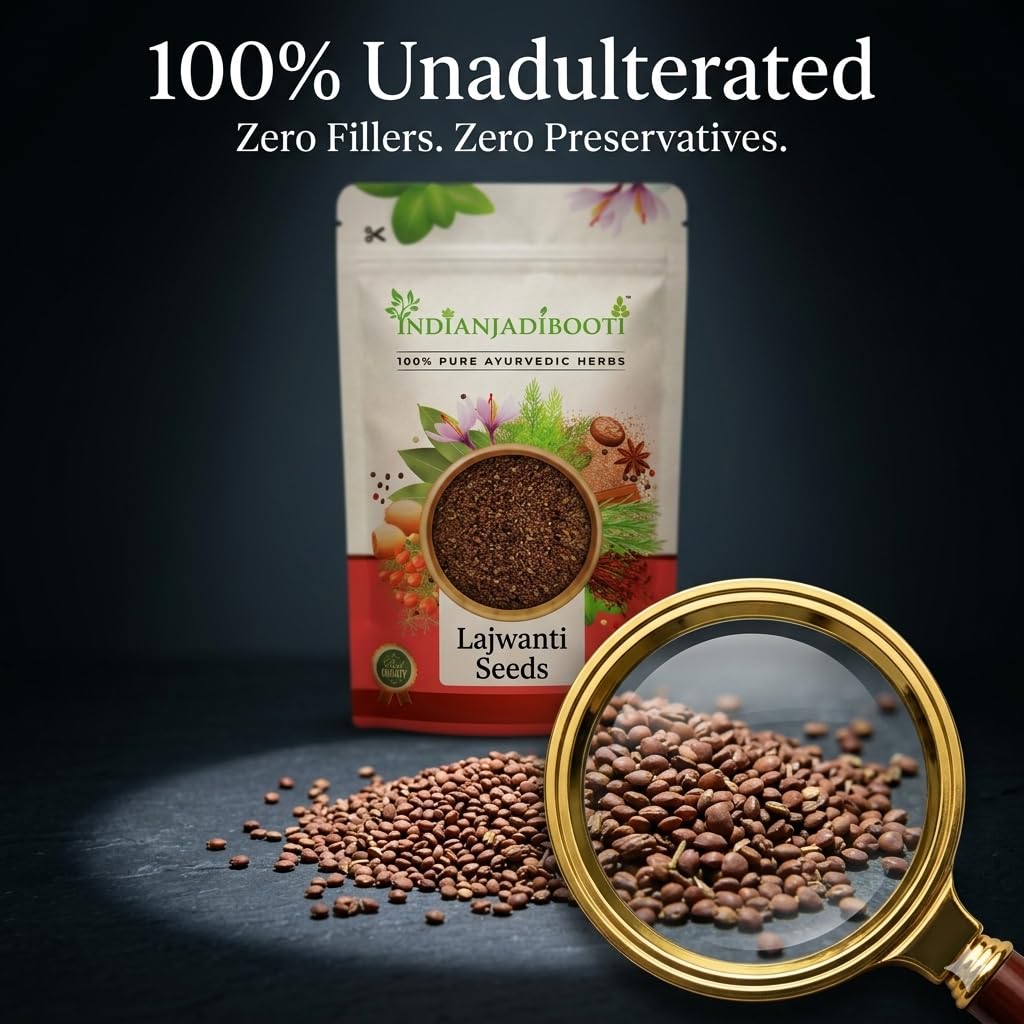 IndianJadiBooti Pure Lajwanti Seeds (250g) (Mimosa Pudica/Chui Mui) | Raw Touch-Me-Not Seeds for Natural Cooling, Holistic Vitality & Traditional Wellness
