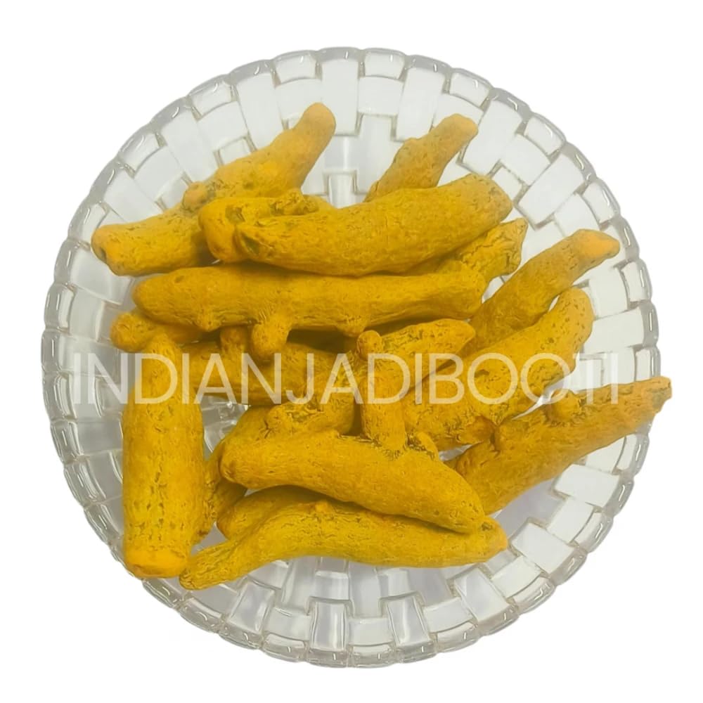 IndianJadiBooti Salem Turmeric Finger Whole - Tamilnadu Origin - Selam Haldi Sabut Haldi Khadi Haldi Haldi Gaanth - Cooking Spices (100 gm)