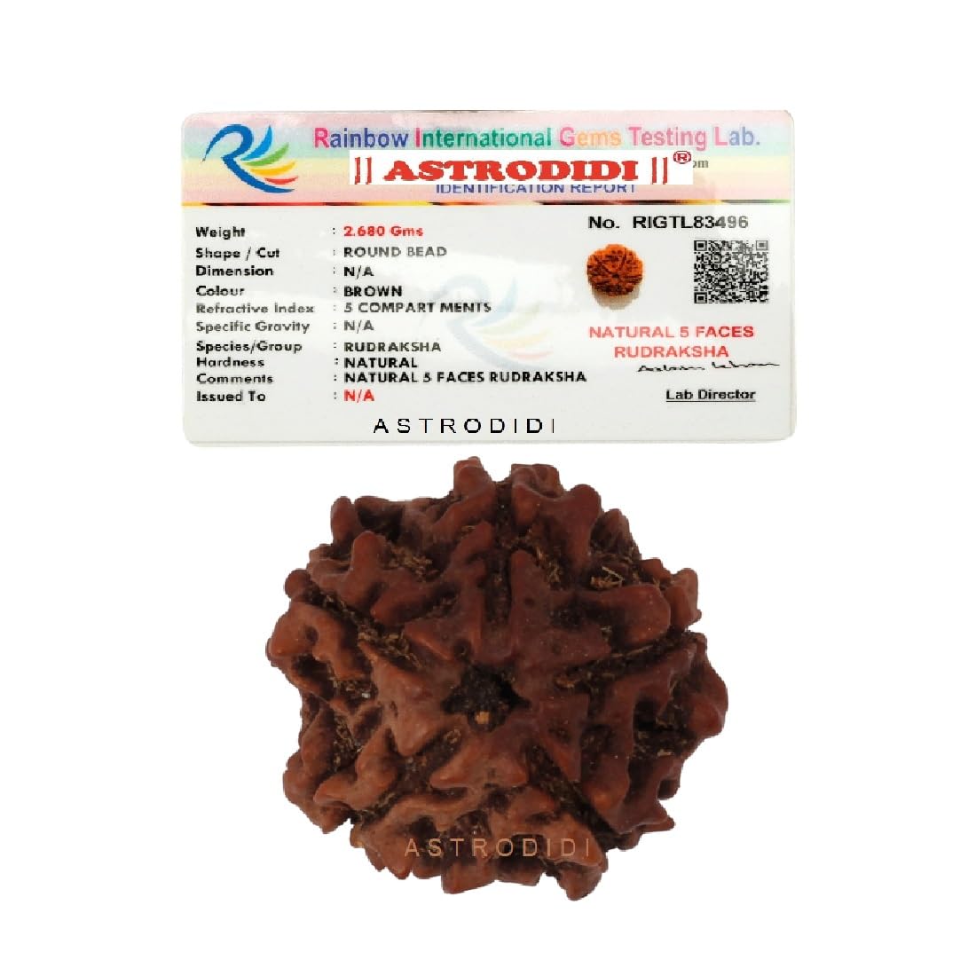 ASTRODIDI Original Certified 5 Mukhi Rudraksha Bead with Red Thread for Daily Wearing | Natural Nepali Five Face Rudraksh Bead | Unisex Design for Men Women Boys and Girls